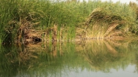 טיולי חמשישים קול קורא במדבר ירושלים ומדבר יומיים - אוקטובר 2017  (9).jpg