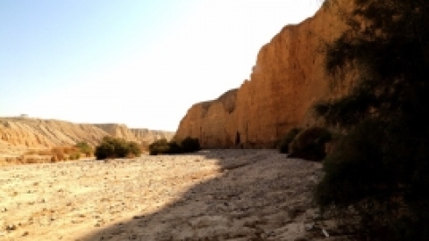 טיולי חמשישים קול קורא במדבר ירושלים ומדבר יומיים - אוקטובר 2017  (4).jpg