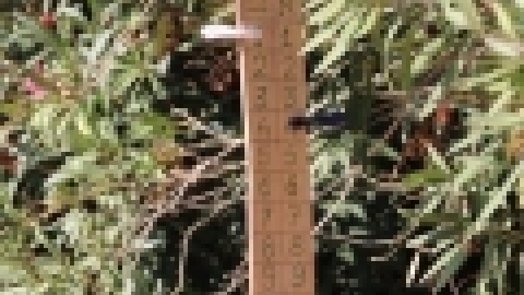 ליגת ישובים במשחק הפטאנק - אוקטובר 2017, צילם זאב לוי (8).jpg