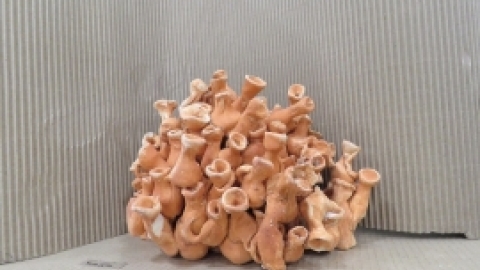 תערוכת סוף שנה חוגי אומנות קתדרה יולי 2017 (17).jpg