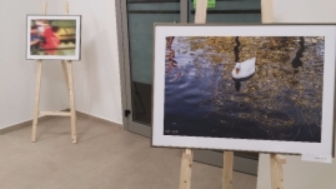 תערוכת סוף שנה חוגי אומנות קתדרה יולי 2017 (51).jpg