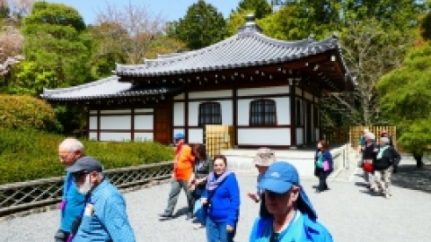 טיול מרחבים ליפן (7).jpg