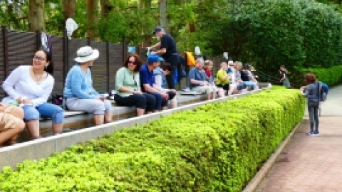 טיול מרחבים ליפן (2).jpg