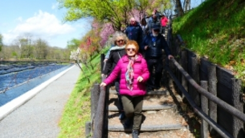 טיול מרחבים ליפן (9).jpg