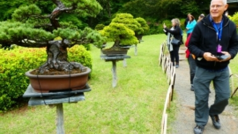 טיול מרחבים ליפן (10).jpg