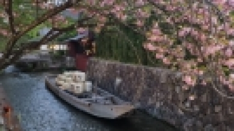 טיול מרחבים ליפן (14).jpg