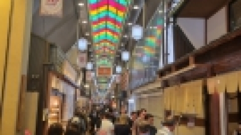 טיול מרחבים ליפן (16).jpg