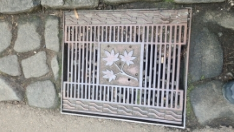 טיול מרחבים ליפן (15).jpg