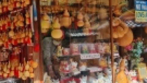 טיול מרחבים ליפן (21).jpg