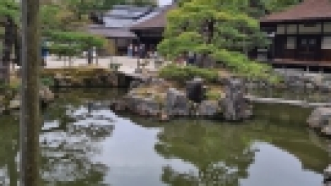 טיול מרחבים ליפן (20).jpg