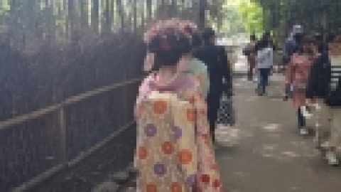 טיול מרחבים ליפן (35).jpg