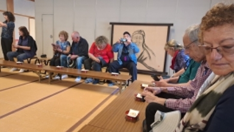 טיול מרחבים ליפן (37).jpg