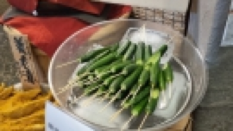 טיול מרחבים ליפן (32).jpg