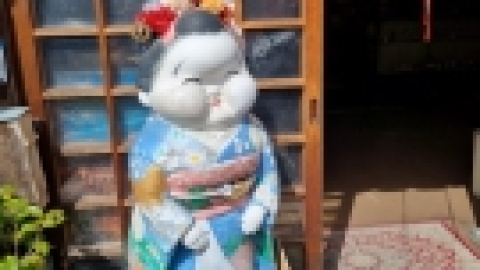 טיול מרחבים ליפן (44).jpg