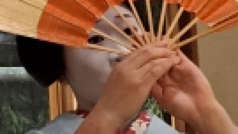 טיול מרחבים ליפן (47).jpg