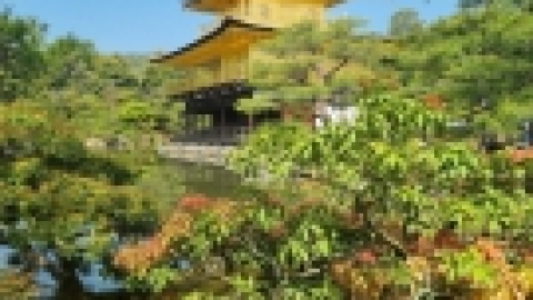 טיול מרחבים ליפן (52).jpg