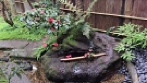 טיול מרחבים ליפן (64).jpg