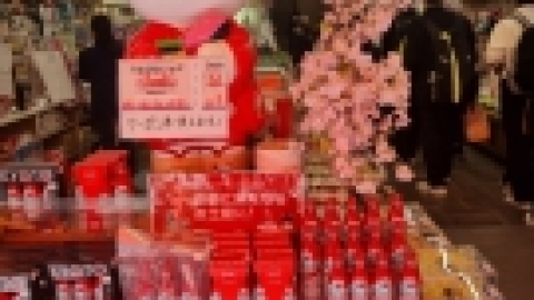 טיול מרחבים ליפן (58).jpg