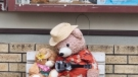 טיול מרחבים ליפן (61).jpg