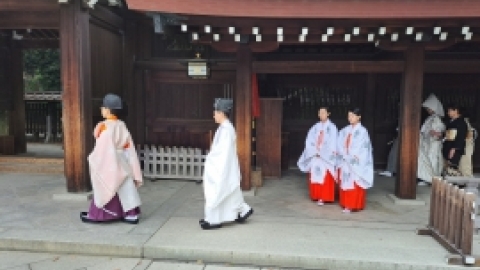 טיול מרחבים ליפן (69).jpg