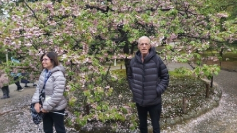 טיול מרחבים ליפן (67).jpg