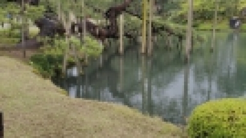 טיול מרחבים ליפן (75).jpg