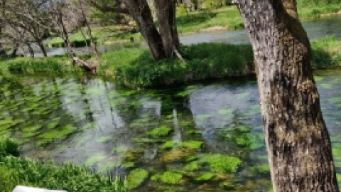 טיול מרחבים ליפן (83).jpg