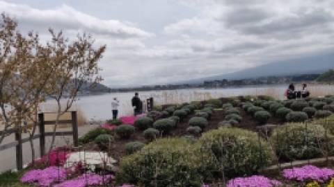 טיול מרחבים ליפן (78).jpg