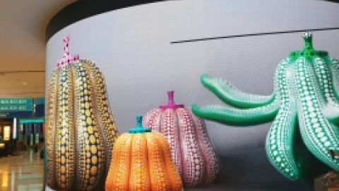 טיול מרחבים ליפן (80).jpg