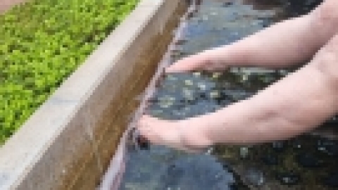 טיול מרחבים ליפן (79).jpg