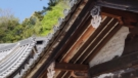 טיול מרחבים ליפן (84).jpg