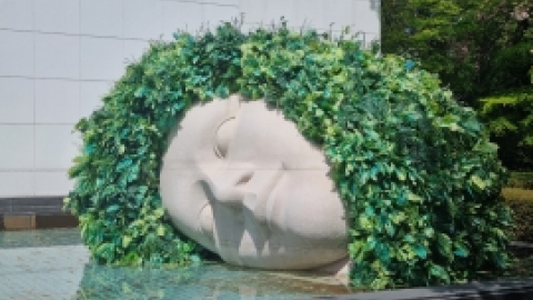 טיול מרחבים ליפן (81).jpg