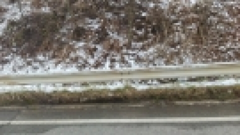 טיול מרחבים ליפן (87).jpg