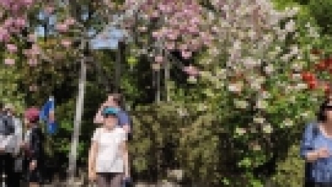 טיול מרחבים ליפן (94).jpg