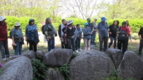 טיול מרחבים ליפן (124).jpg