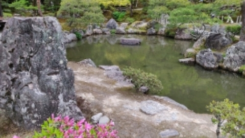 טיול מרחבים ליפן (130).jpg