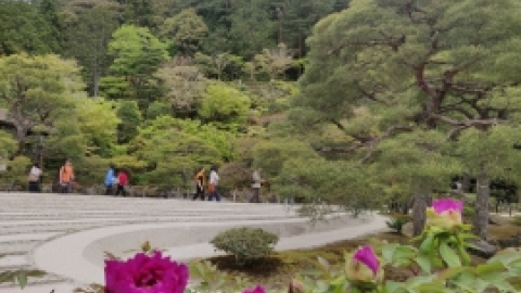 טיול מרחבים ליפן (135).jpg