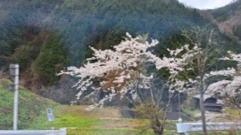 טיול מרחבים ליפן (140).jpg