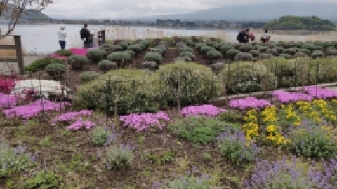 טיול מרחבים ליפן (151).jpg