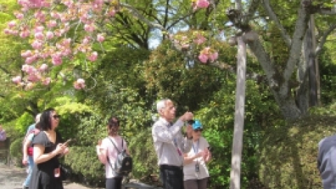 טיול מרחבים ליפן (146).jpg