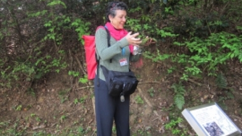 טיול מרחבים ליפן (153).jpg