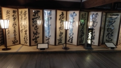 טיול מרחבים ליפן (154).jpg