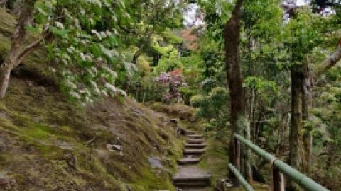 טיול מרחבים ליפן (156).jpg