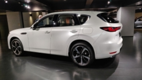 טיול מרחבים ליפן (167).jpg