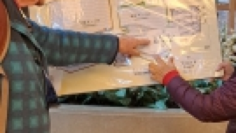 טיול מרחבים ליפן (179).jpg