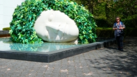 טיול מרחבים ליפן (196).jpg