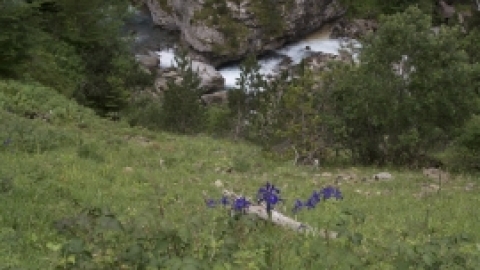 טיול לפירנאים וארץ הבסקים יולי 2017 (13).jpg