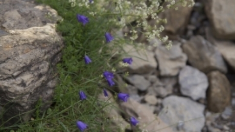 טיול לפירנאים וארץ הבסקים יולי 2017 (38).jpg