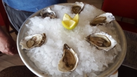 טיול לפירנאים וארץ הבסקים יולי 2017 (49).jpg