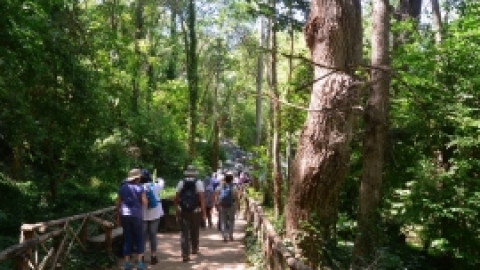 טיול לפירנאים וארץ הבסקים יולי 2017 (42).jpg